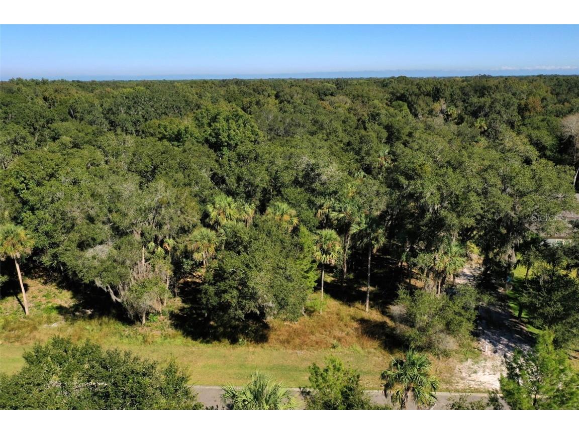 36 Secretariat Lane Flagler Beach FL 32136 FC295862 image1