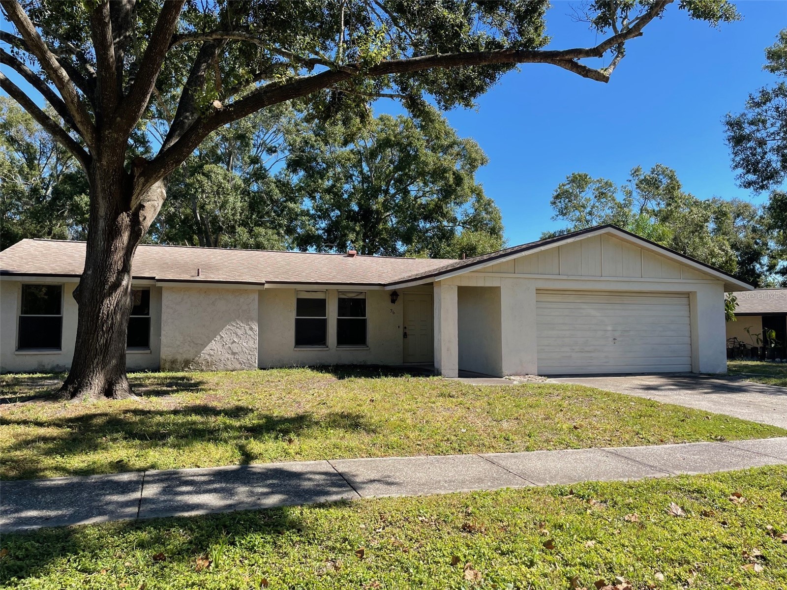 36 Valencia Circle Safety Harbor FL 34695 TB8443550 image1