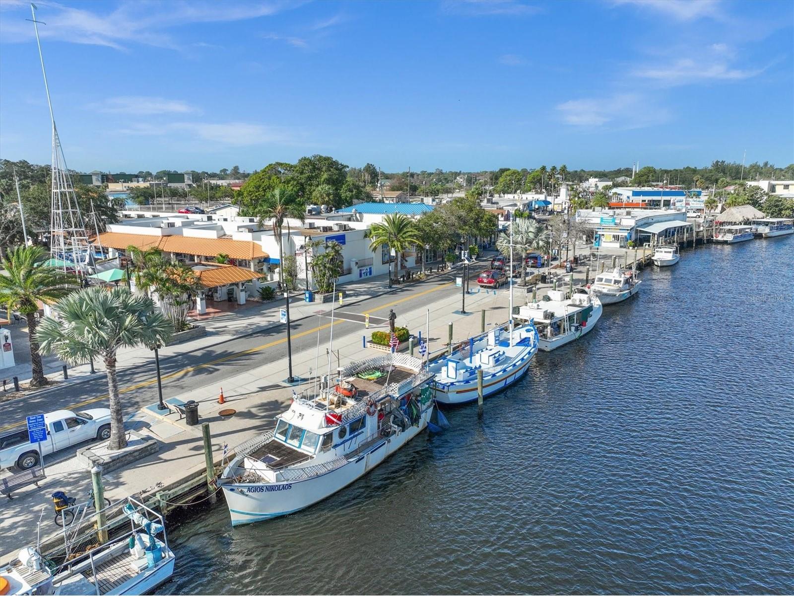 36 Windrush Bay Drive #36 Tarpon Springs FL 34689 TB8485215 image34