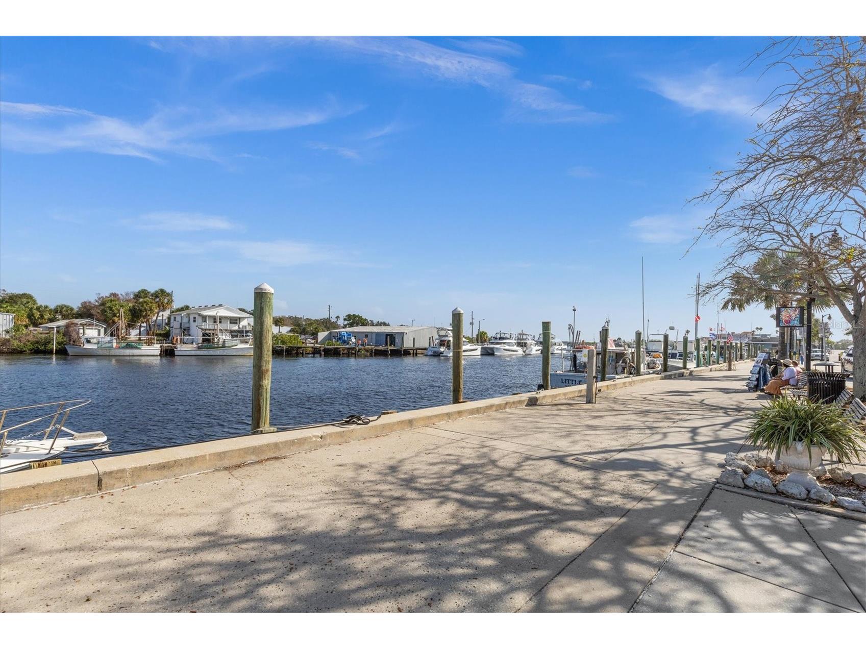 36 Windrush Bay Drive #36 Tarpon Springs FL 34689 TB8485215 image37