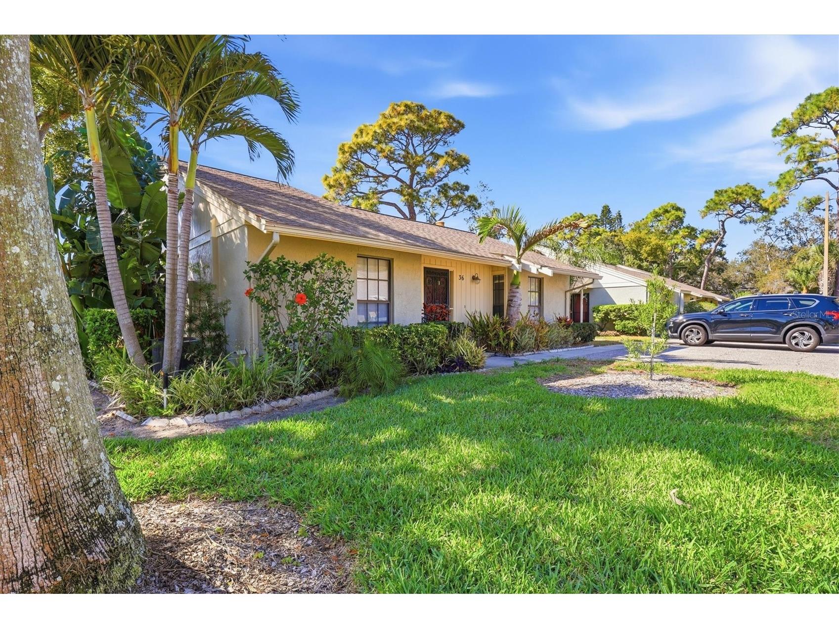 36 Windrush Bay Drive #36 Tarpon Springs FL 34689 TB8485215 image4