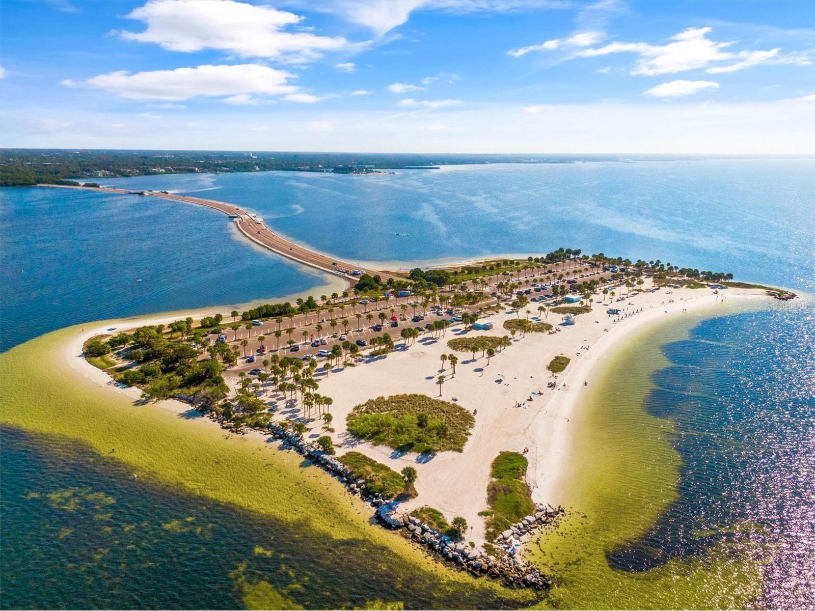 36 Windrush Bay Drive #36 Tarpon Springs FL 34689 TB8485215 image40