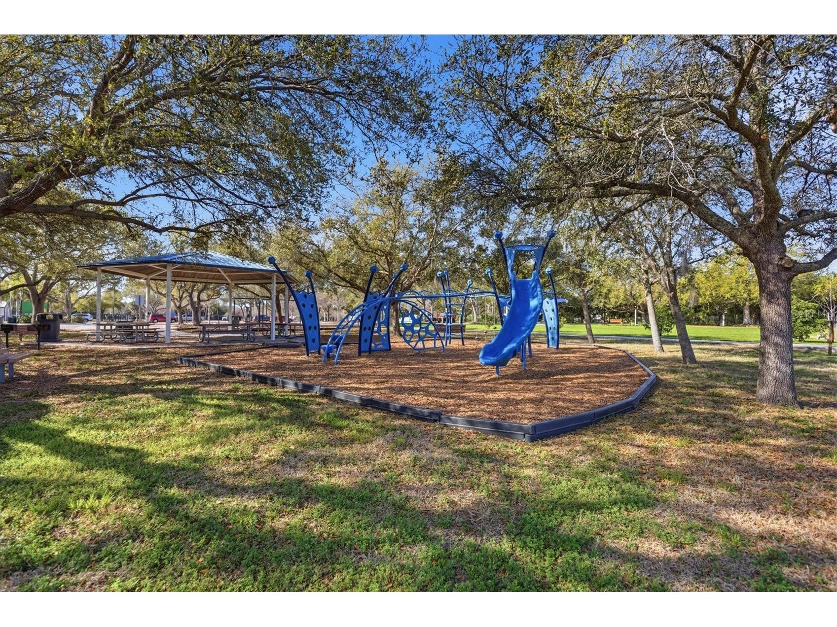 36 Windrush Bay Drive #36 Tarpon Springs FL 34689 TB8485215 image57