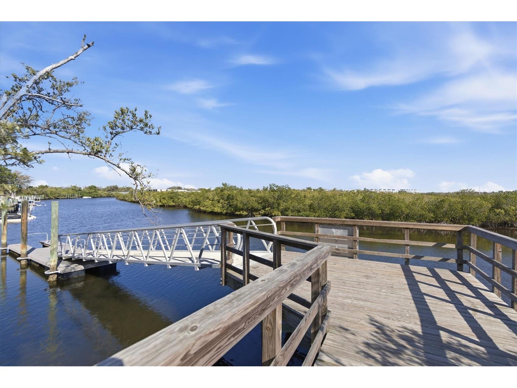 36 Windrush Bay Drive #36 Tarpon Springs FL 34689 TB8485215 image59