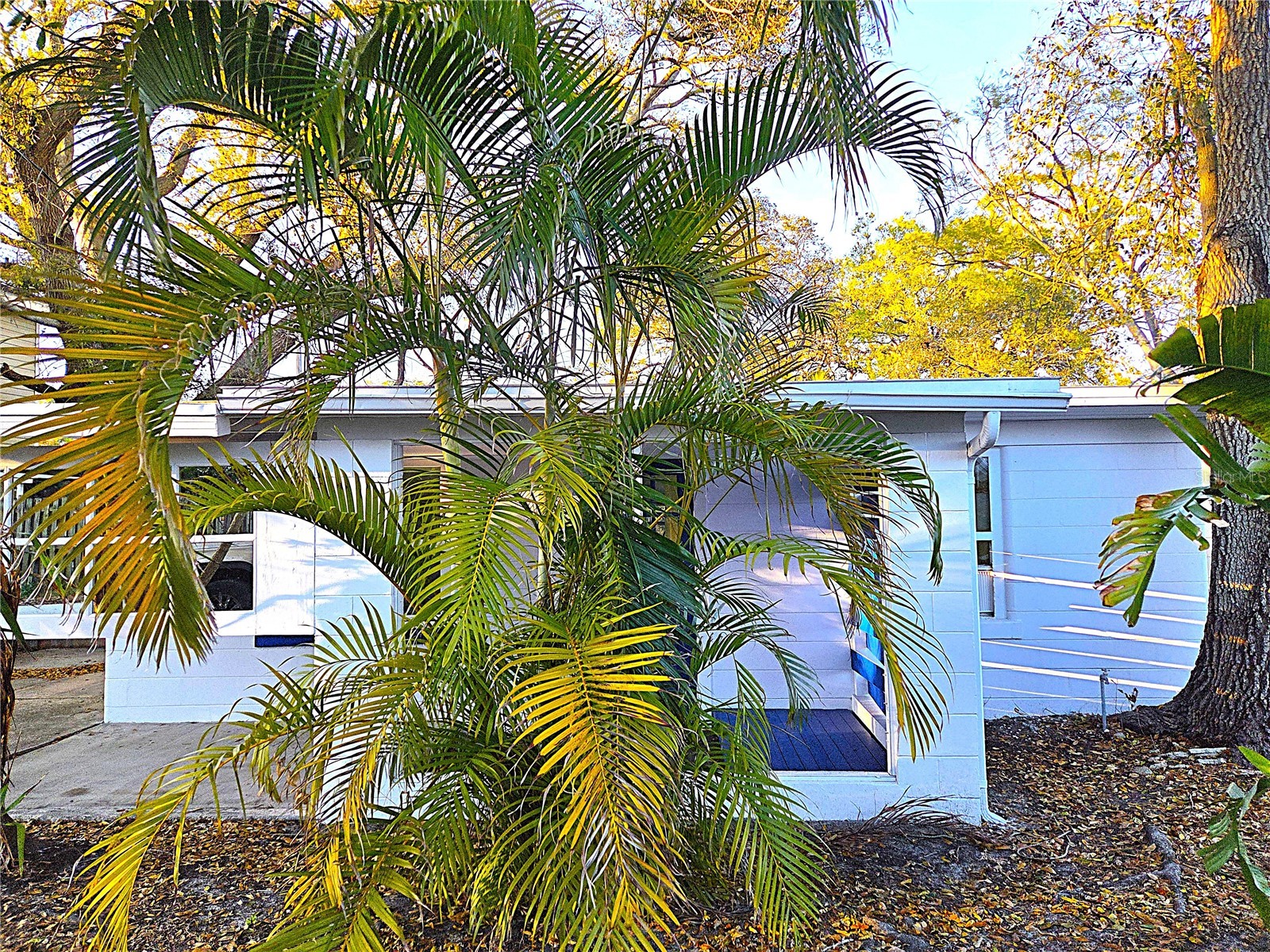 360 5th Avenue NW Largo FL 33770 TB8493154 image26