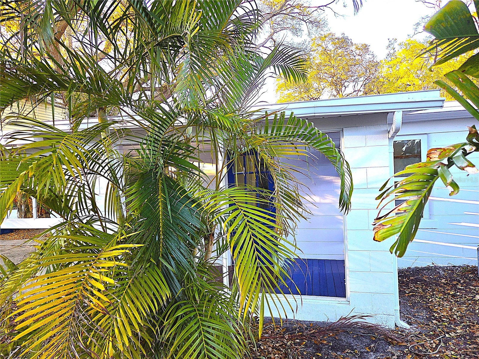 360 5th Avenue NW Largo FL 33770 TB8493154 image27