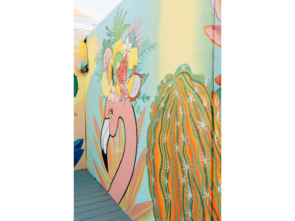 360 78th Avenue #1 Saint Pete Beach FL 33706 TB8454673 image42