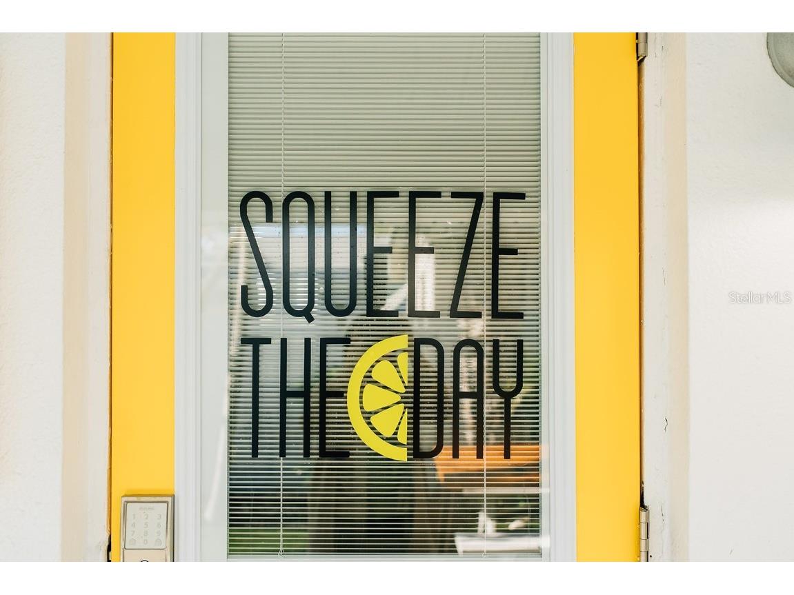 360 78th Avenue #2 Saint Pete Beach FL 33706 TB8454688 image23