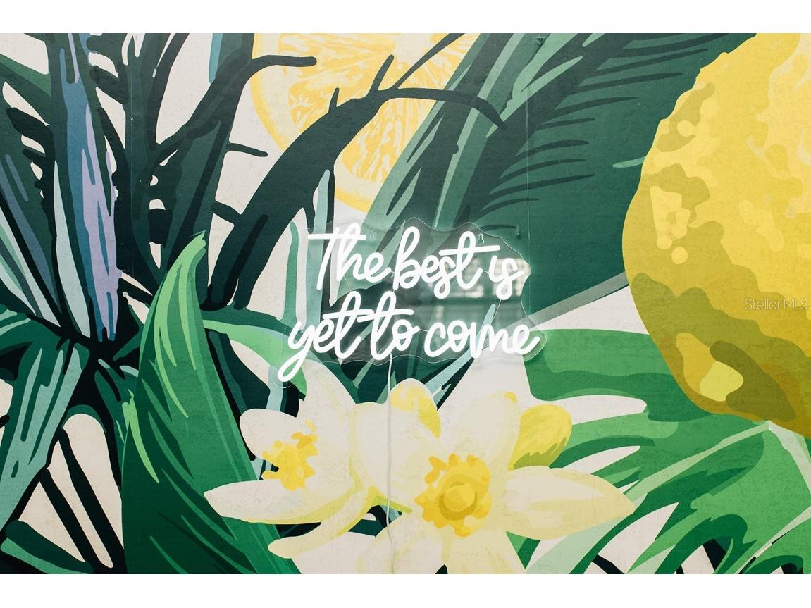 360 78th Avenue #2 Saint Pete Beach FL 33706 TB8454688 image6