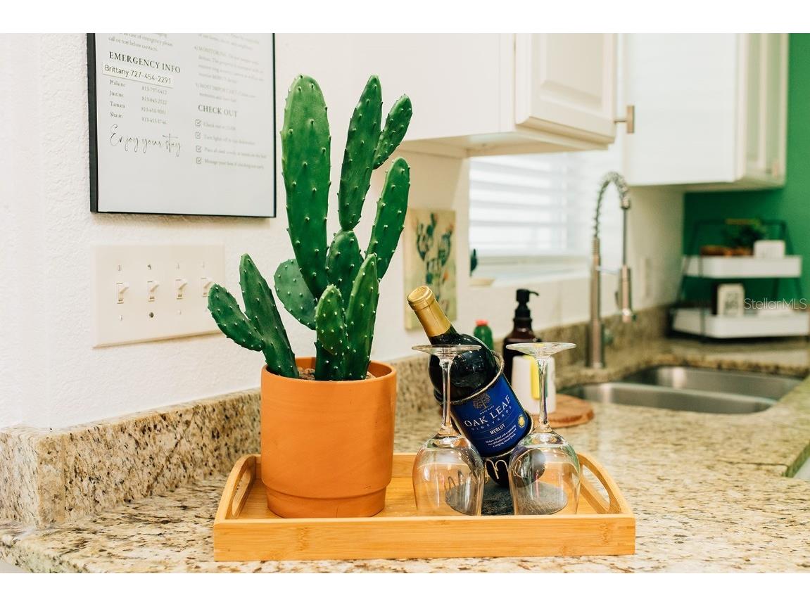 360 78th Avenue #3 Saint Pete Beach FL 33706 TB8454709 image11