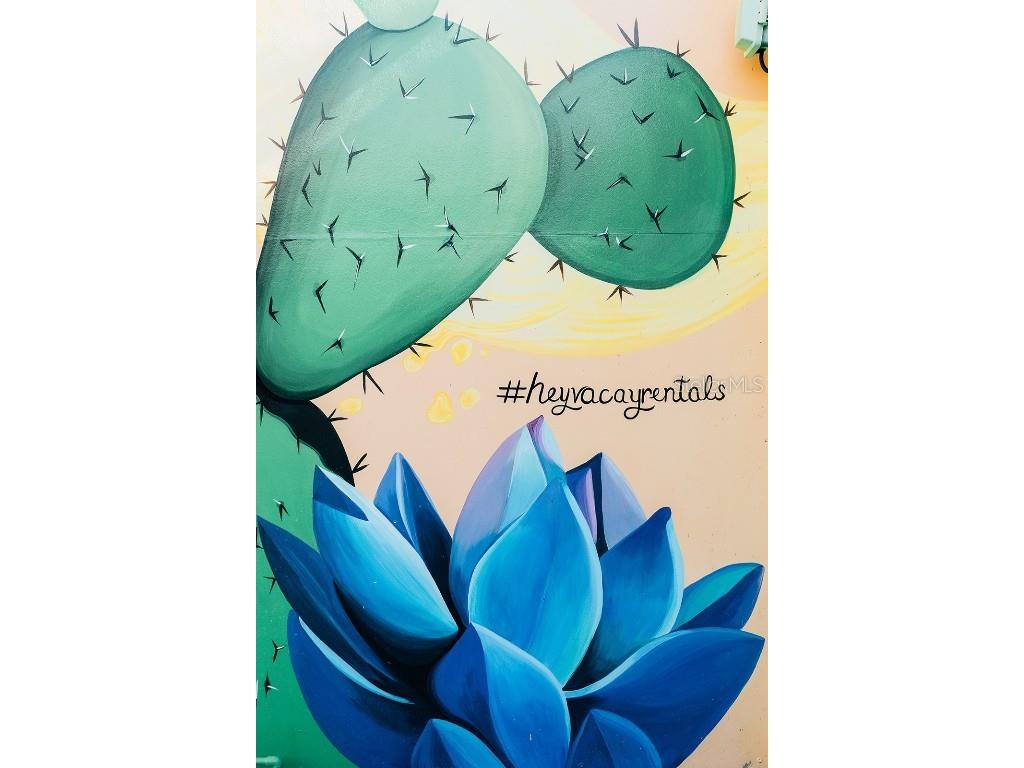 360 78th Avenue #3 Saint Pete Beach FL 33706 TB8454709 image37