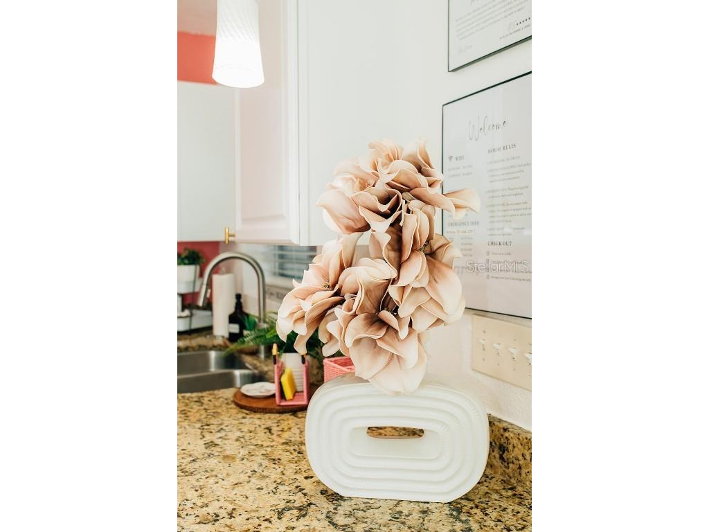 360 78th Avenue #4 Saint Pete Beach FL 33706 TB8454717 image13