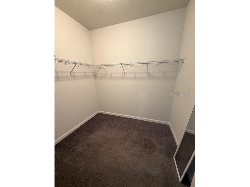 360 Buchannan Drive Davenport FL 33837 TB8486818 image31