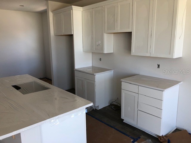 360 Buchannan Drive Davenport FL 33837 TB8486818 image43