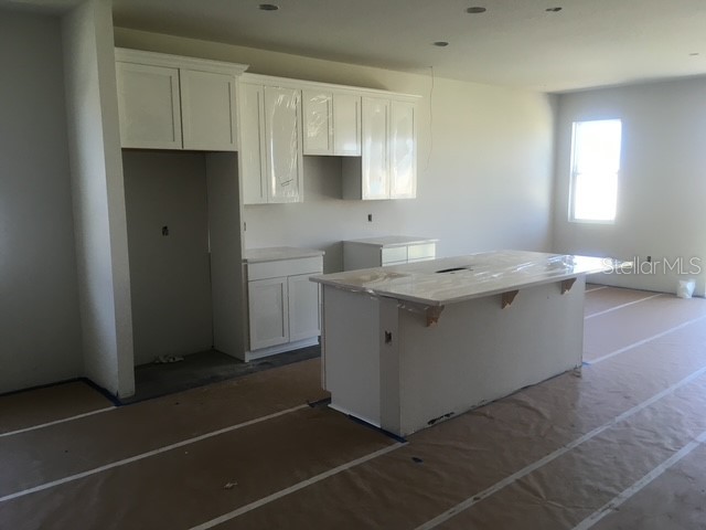 360 Buchannan Drive Davenport FL 33837 TB8486818 image44