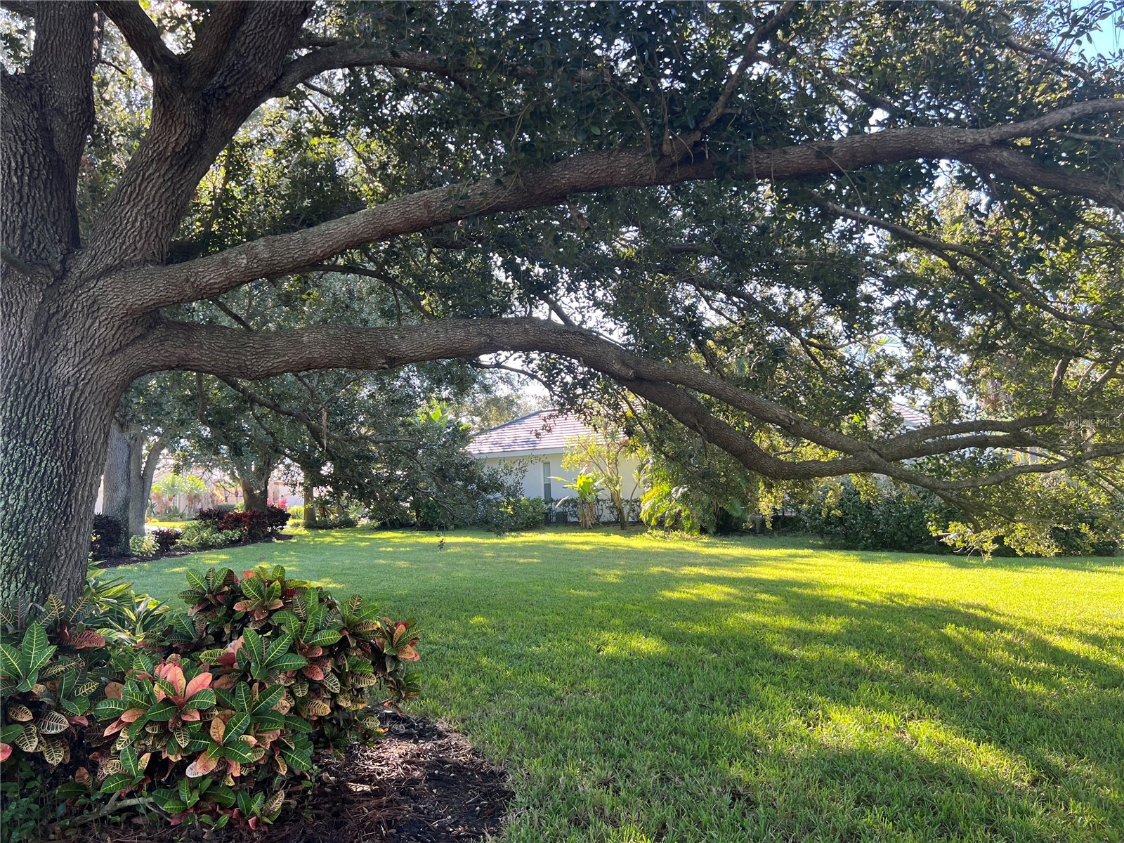 360 Cedarbrook Court Venice FL 34292 TB8494698 image49
