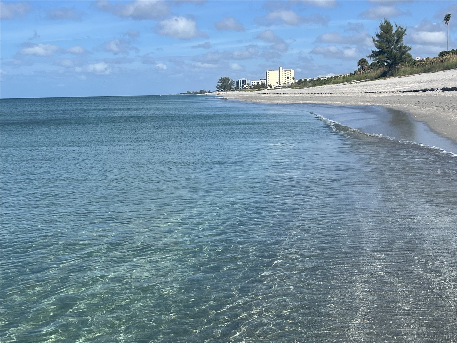 360 Cedarbrook Court Venice FL 34292 TB8494698 image55