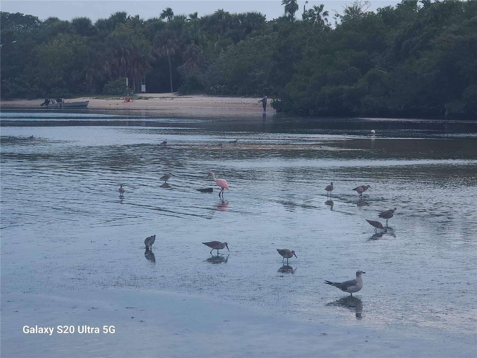 360 Gulf Of Mexico Drive #312 Longboat Key FL 34228 - SARASOTA BAY A4687695 image69