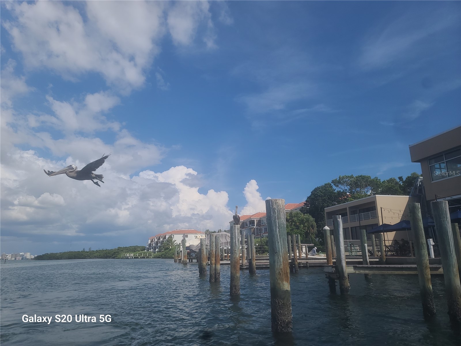 360 Gulf Of Mexico Drive #312 Longboat Key FL 34228 - SARASOTA BAY A4687695 image76