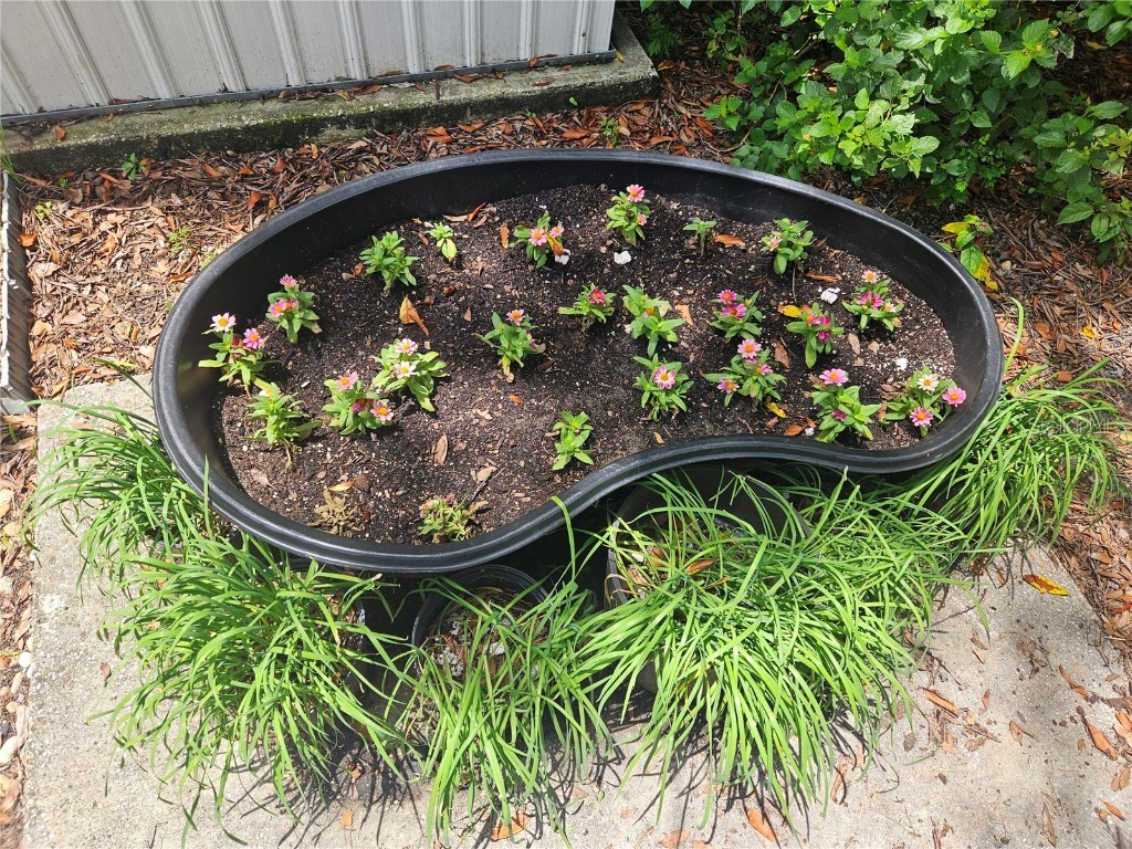 360 Kentia Road Casselberry FL 32707 R4909468 image18