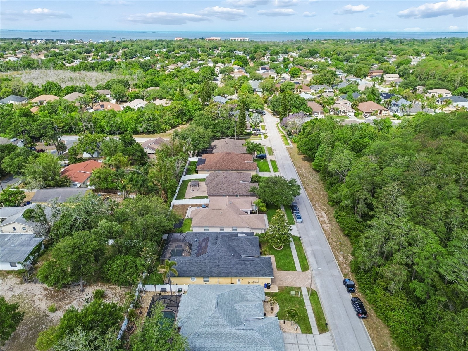 360 Liam Avenue Tarpon Springs FL 34689 TB8499183 image53
