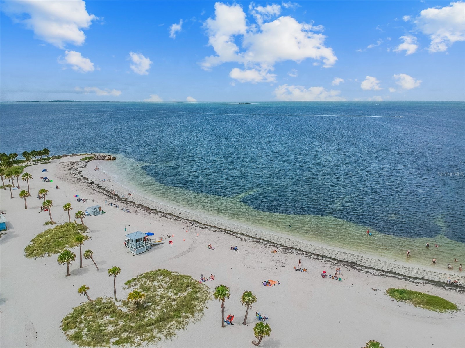 360 Liam Avenue Tarpon Springs FL 34689 TB8499183 image61