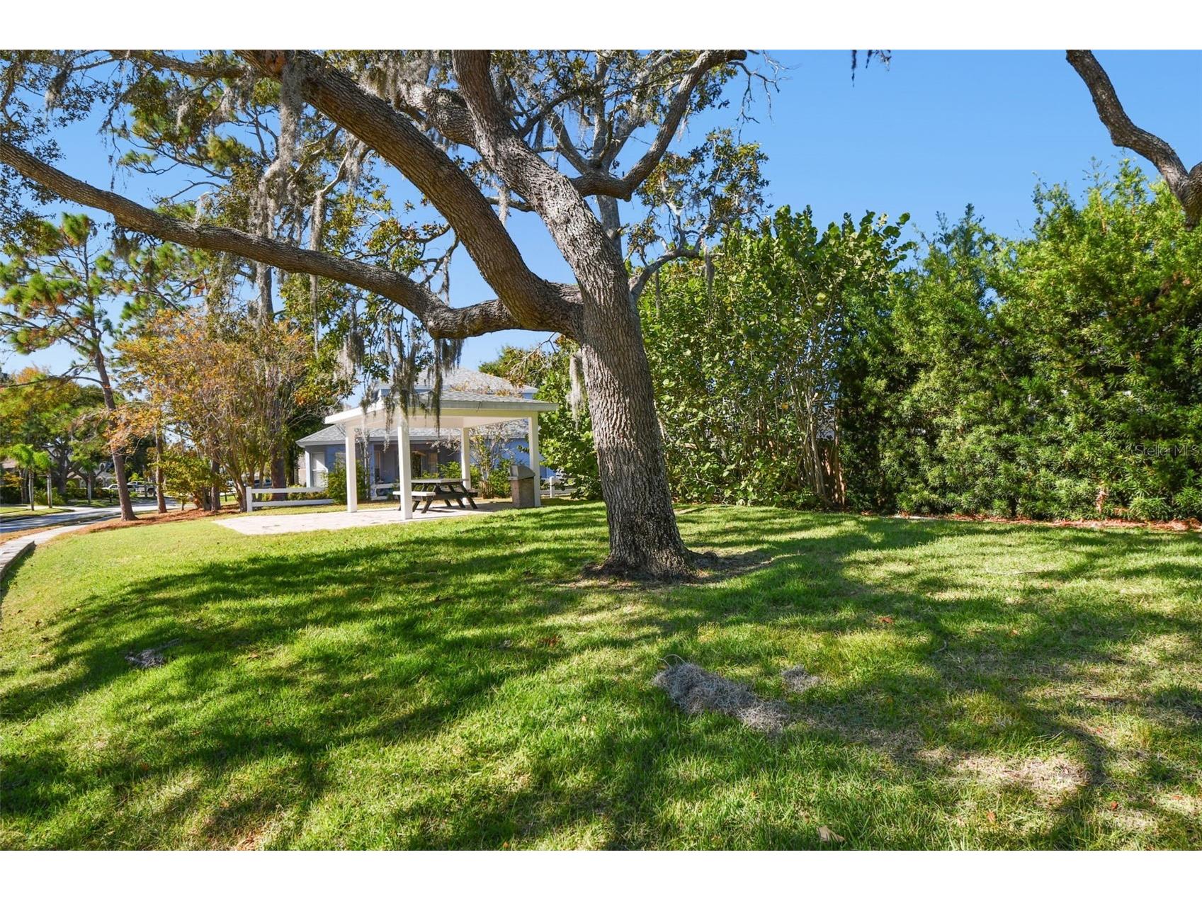 360 Liam Avenue Tarpon Springs FL 34689 TB8499183 image63