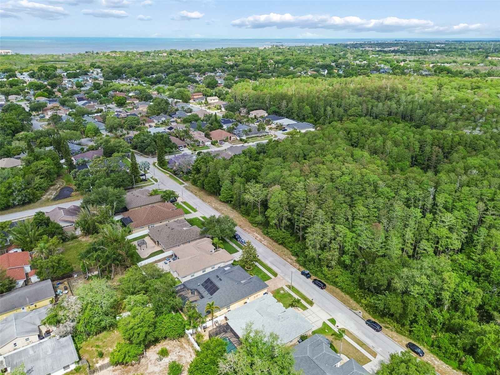 360 Liam Avenue Tarpon Springs FL 34689 TB8499183 image8