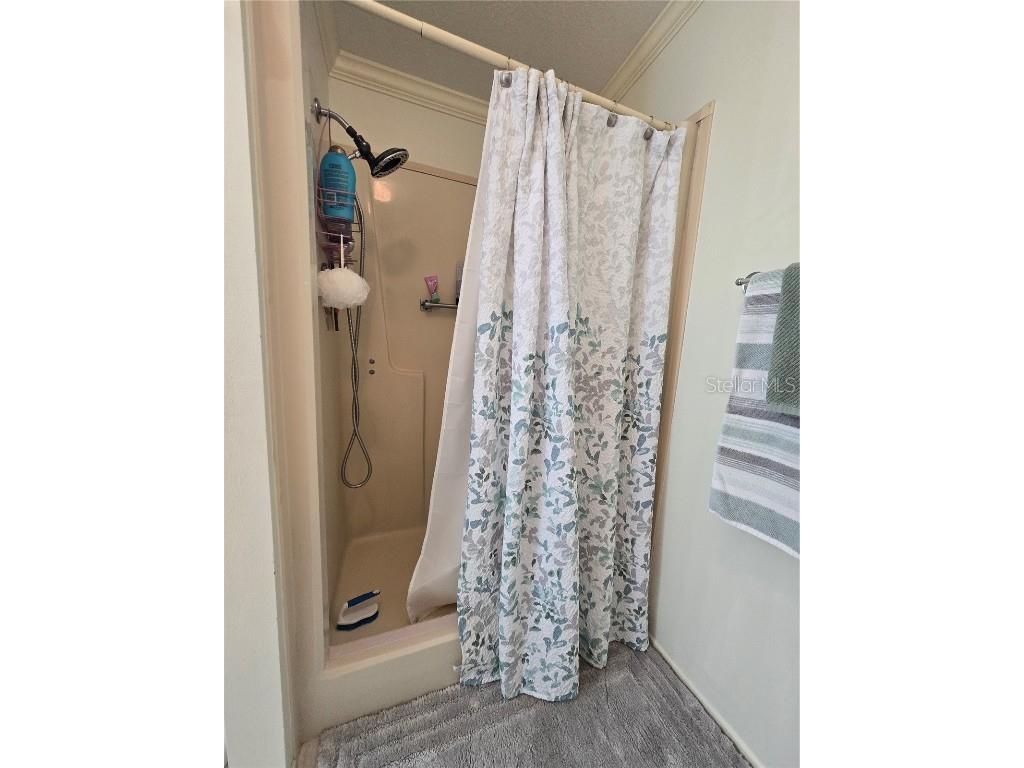 360 Melbourn Drive Haines City FL 33844 - LAKE HENRY P4932219 image42