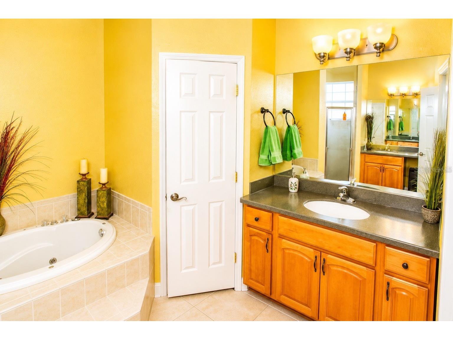 360 NW 113th Circle Ocala FL 34482 OM725957 image19