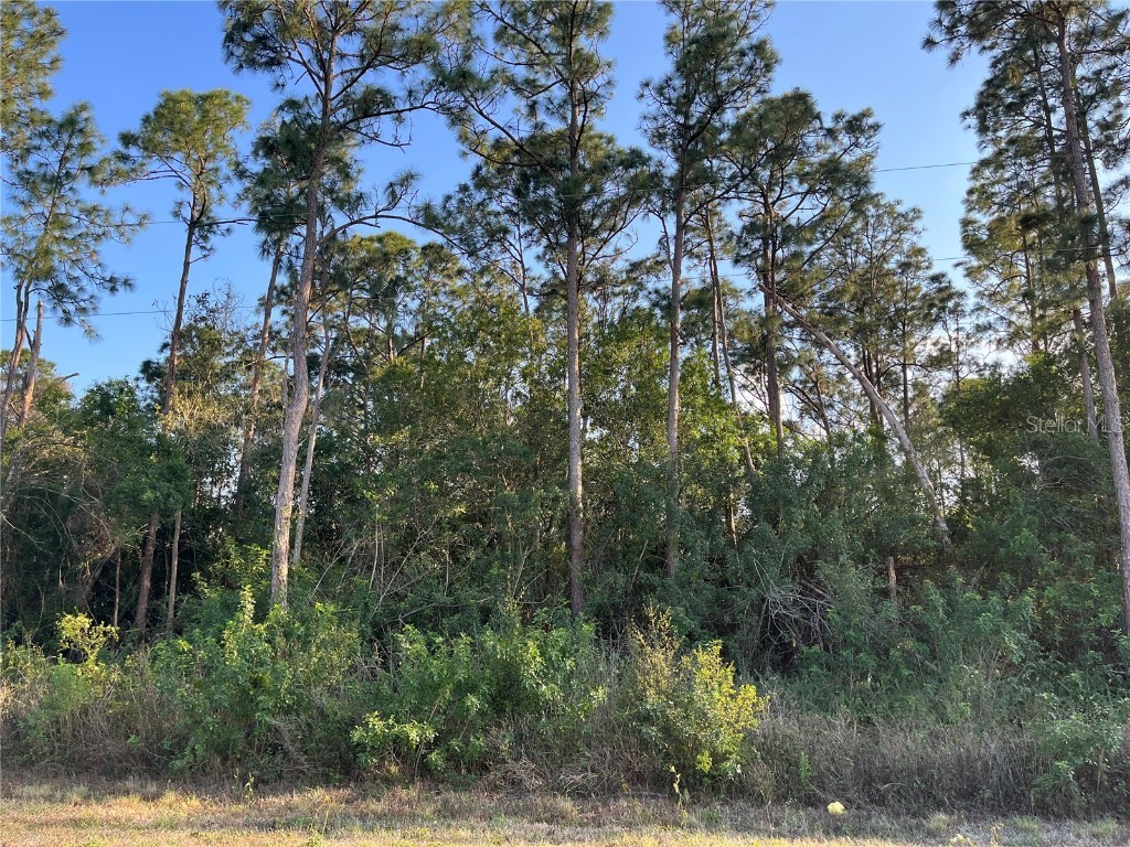 360 Pine Cone Avenue Clewiston FL 33440 OK222562 image1