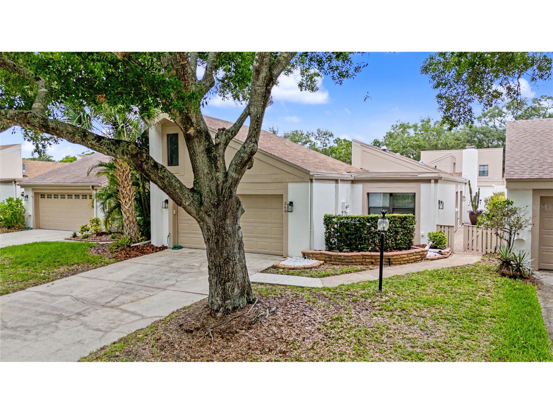 360 S Woodlands Drive Oldsmar FL 34677 TB8515718 image32