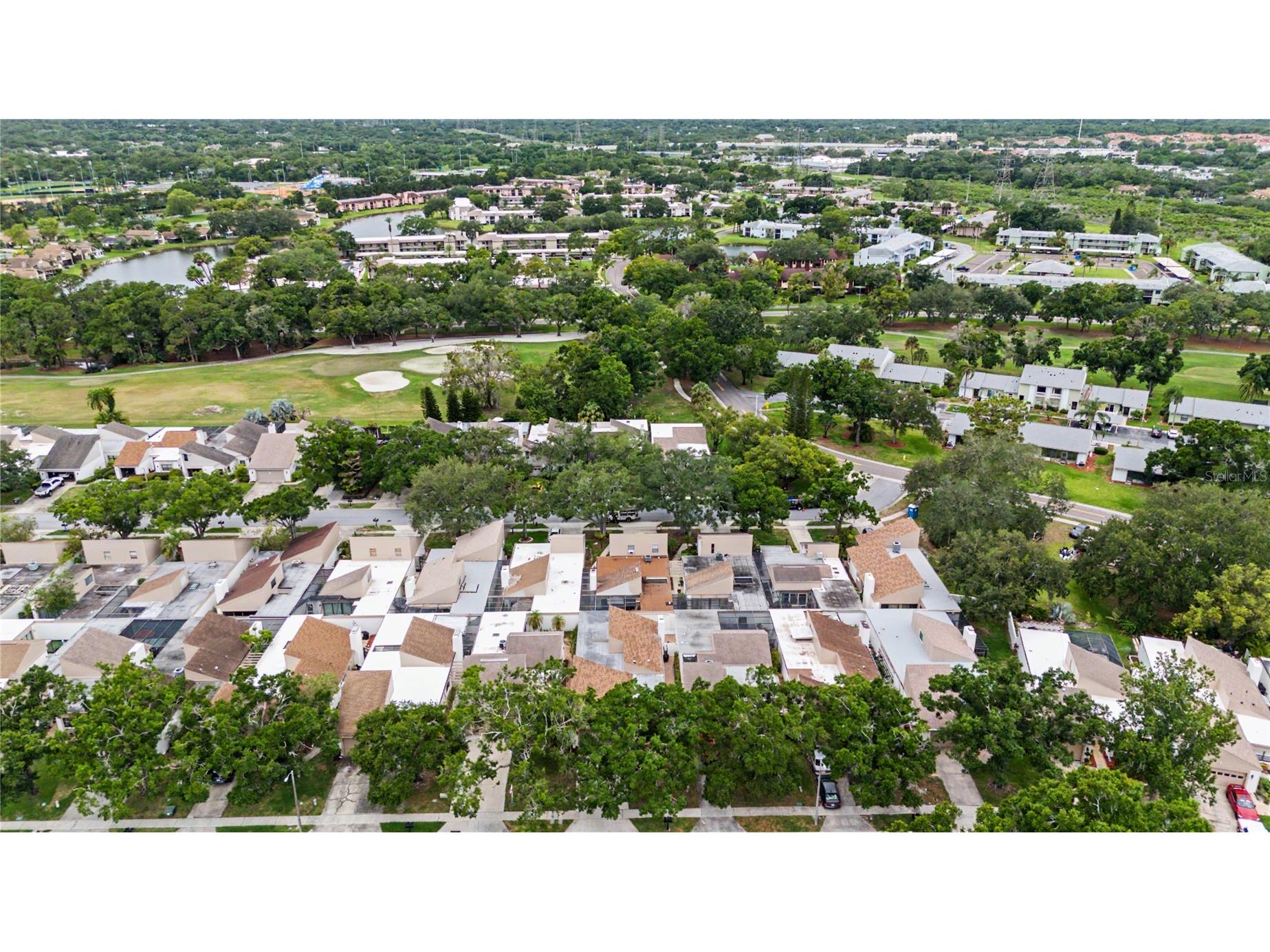 360 S Woodlands Drive Oldsmar FL 34677 TB8515718 image34