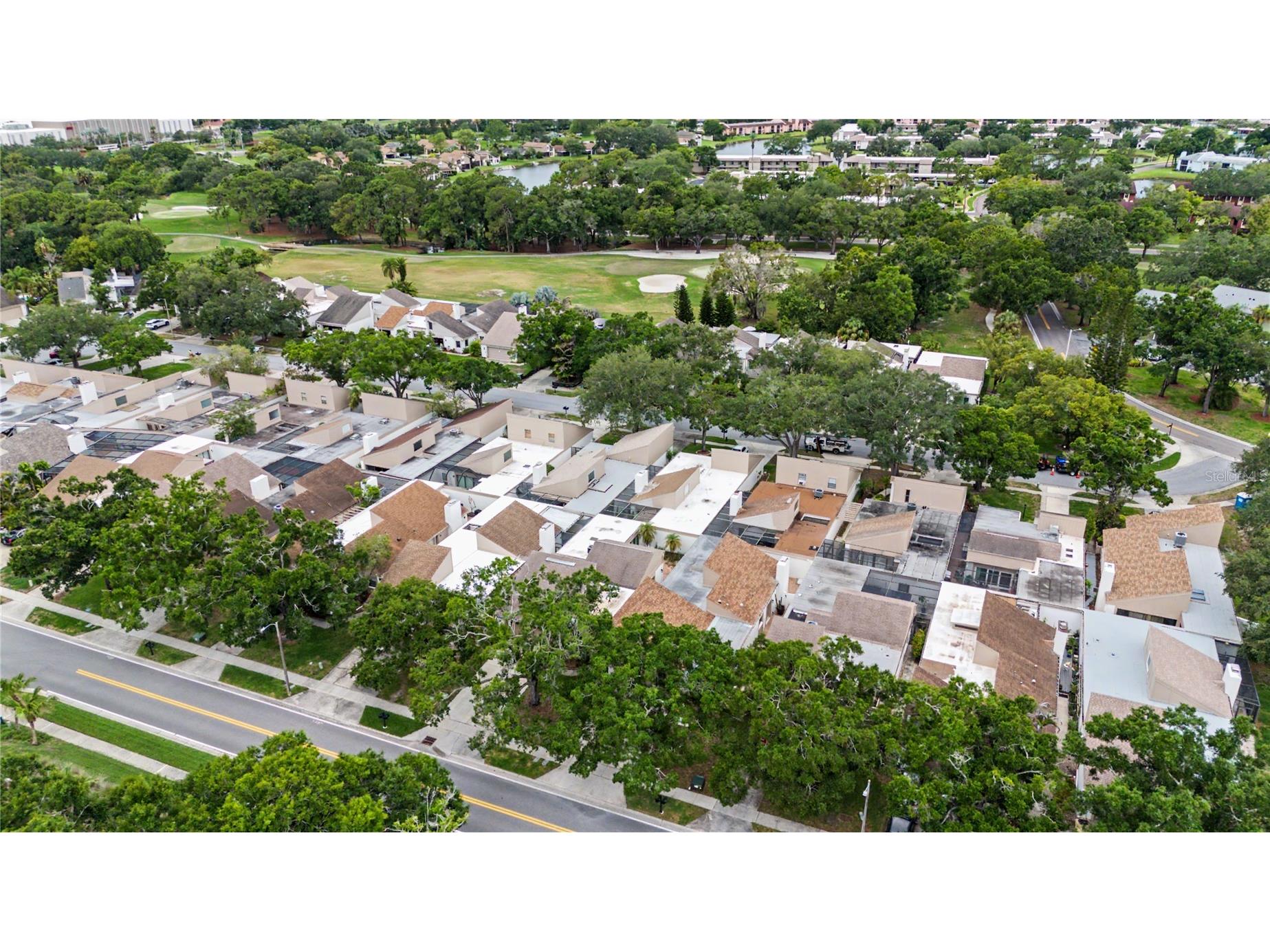 360 S Woodlands Drive Oldsmar FL 34677 TB8515718 image35