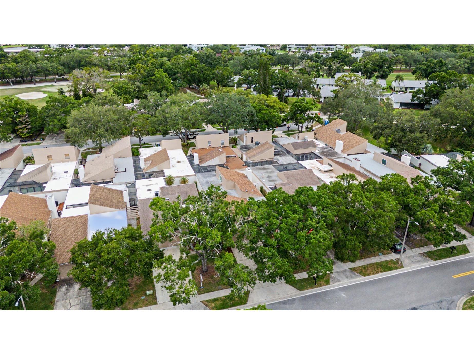 360 S Woodlands Drive Oldsmar FL 34677 TB8515718 image36