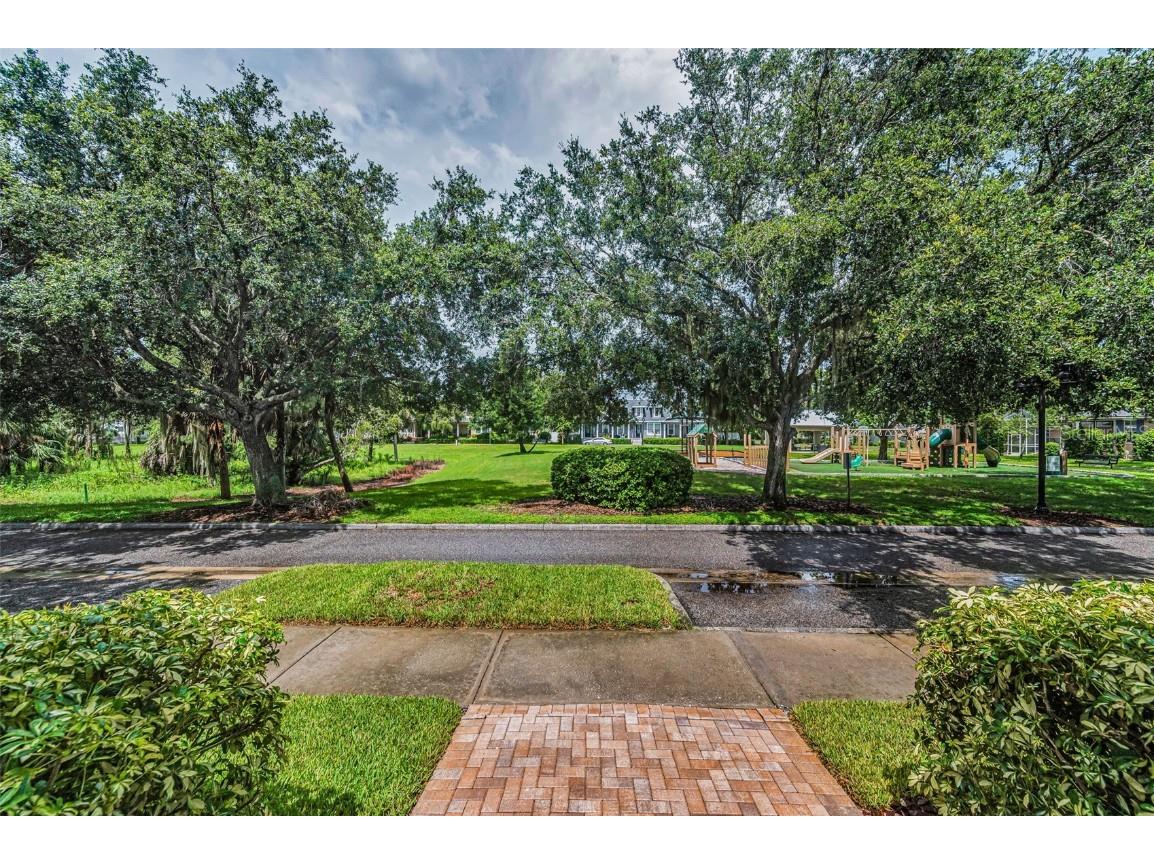 3600 Ferrell Street New Port Richey FL 34655 W7877369 image3