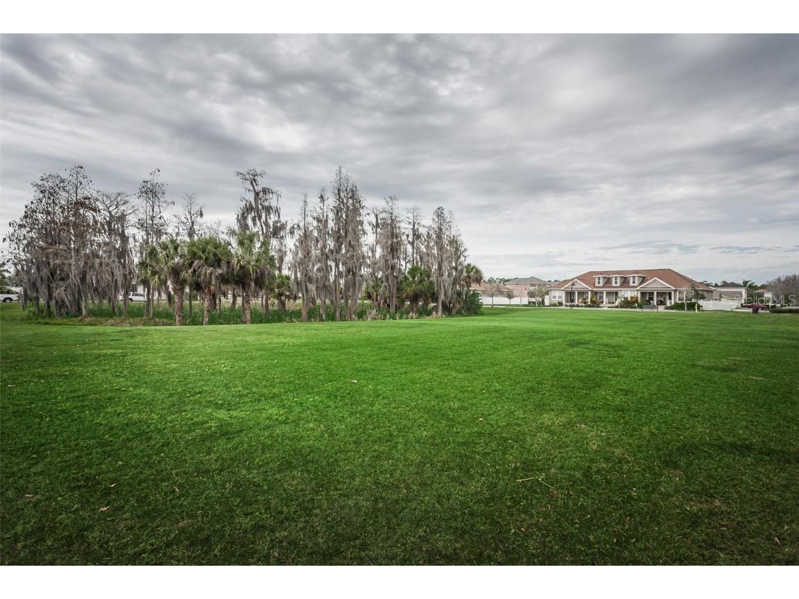 3600 Ferrell Street New Port Richey FL 34655 W7877369 image56