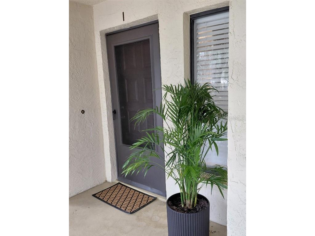 3600 Magnolia Ridge Circle #1223 Palm Harbor FL 34684 TB8431628 image1