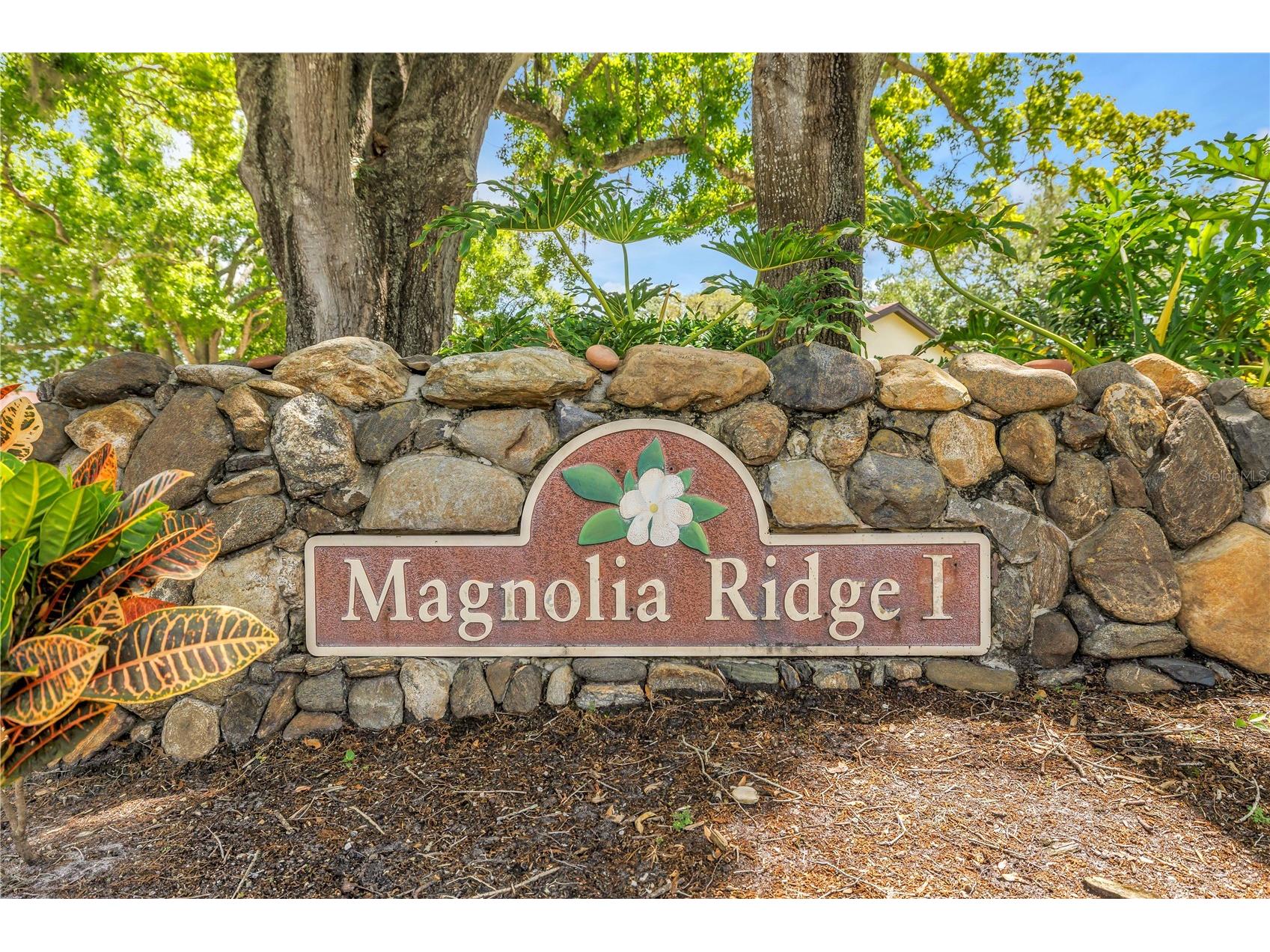3600 Magnolia Ridge Circle #1224 Palm Harbor FL 34684 TB8498754 image17