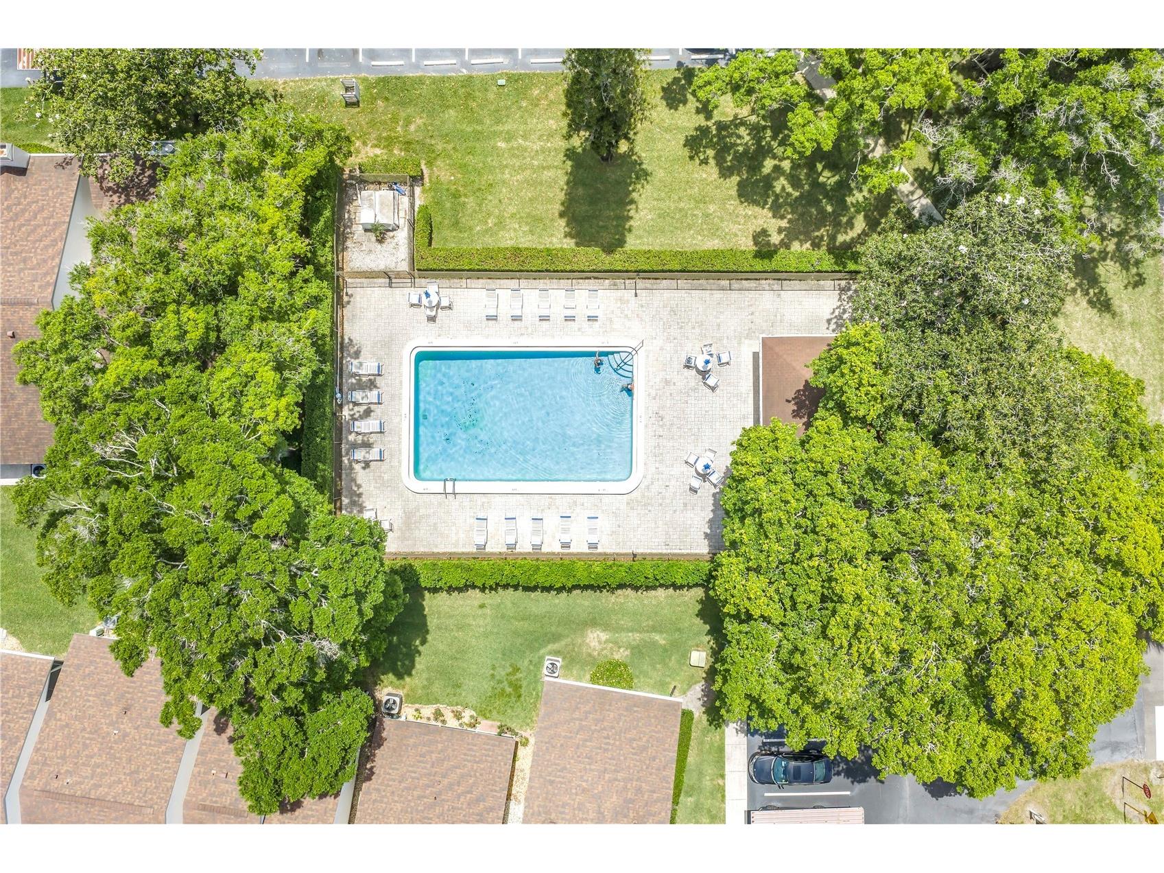 3600 Magnolia Ridge Circle #1224 Palm Harbor FL 34684 TB8498754 image18