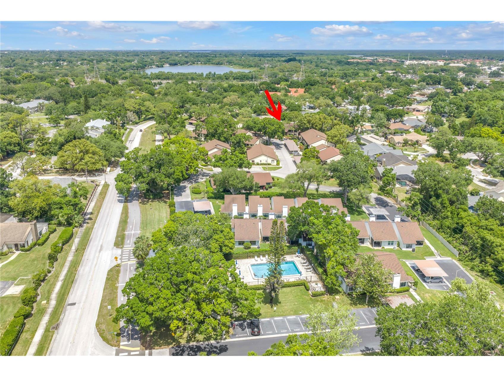 3600 Magnolia Ridge Circle #1224 Palm Harbor FL 34684 TB8498754 image19