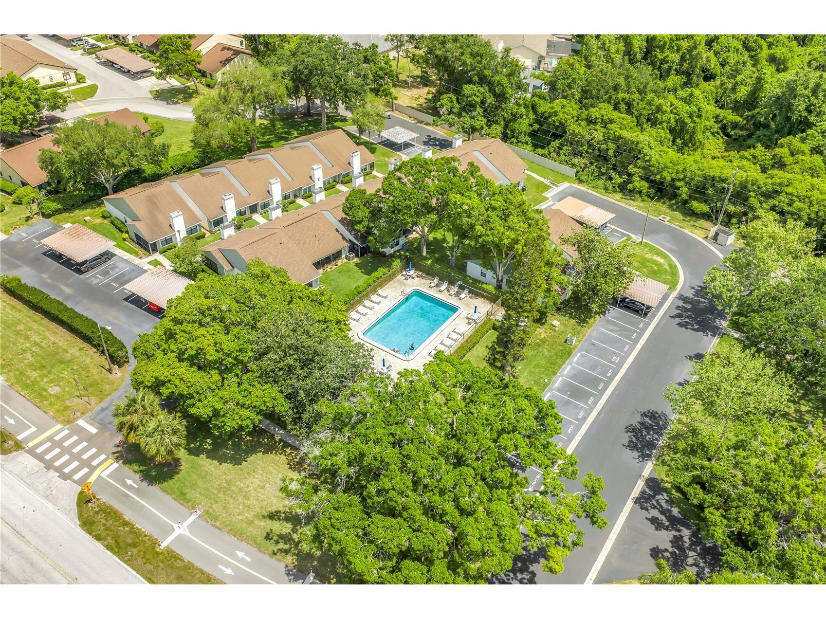 3600 Magnolia Ridge Circle #1224 Palm Harbor FL 34684 TB8498754 image20