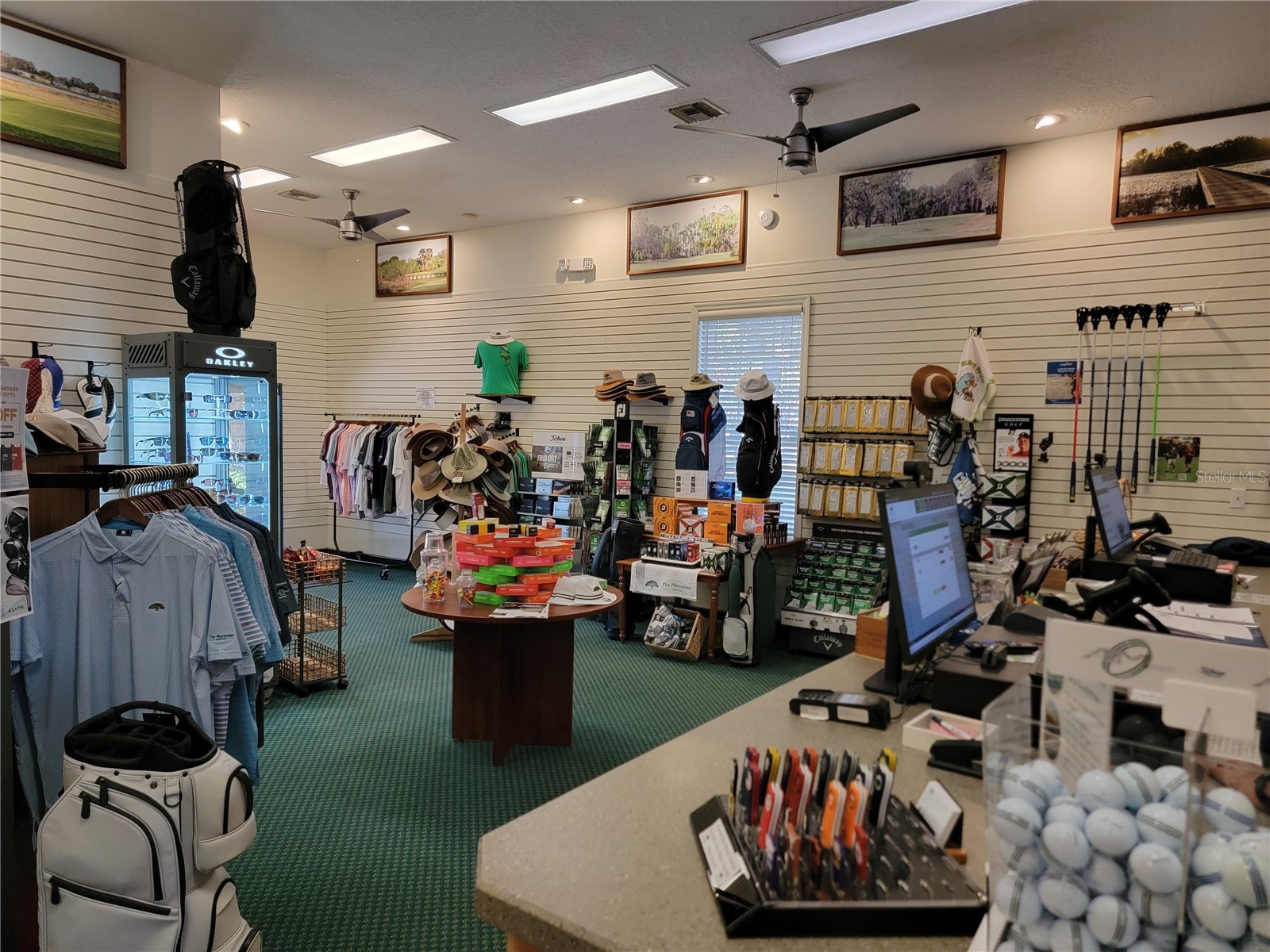 3600 Mount Hope Loop Leesburg FL 34748 G5112627 image49