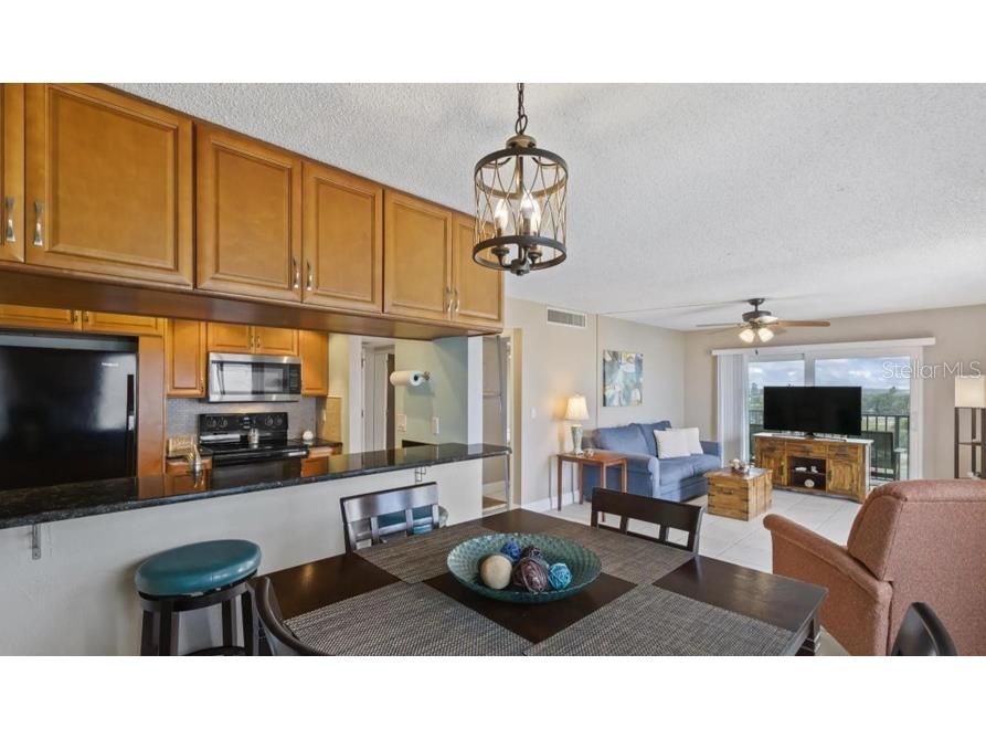 3600 Ocean Shore Boulevard #311 Flagler Beach FL 32136 FC318553 image9