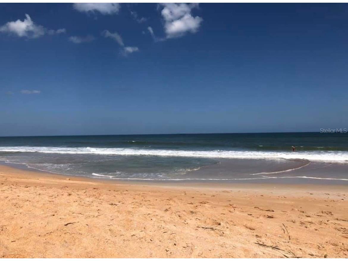 3600 S Ocean Shore Boulevard #115 Flagler Beach FL 32136 FC319526 image17