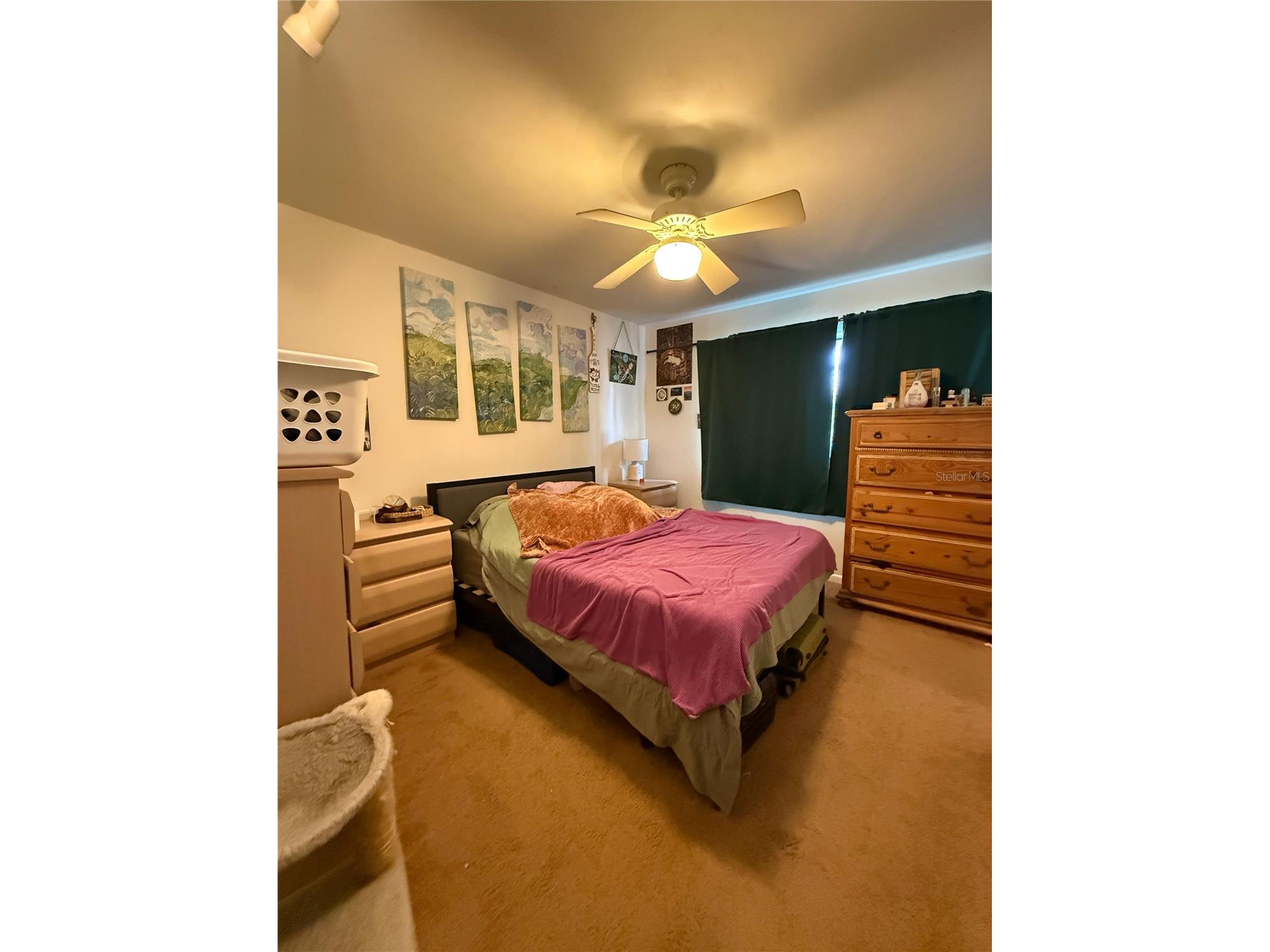 3600 SW 19th Avenue #51 Gainesville FL 32607 GC539791 image16