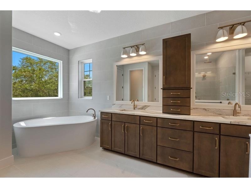 3601 E Tampa Circle Tampa FL 33629 TB8484464 image19
