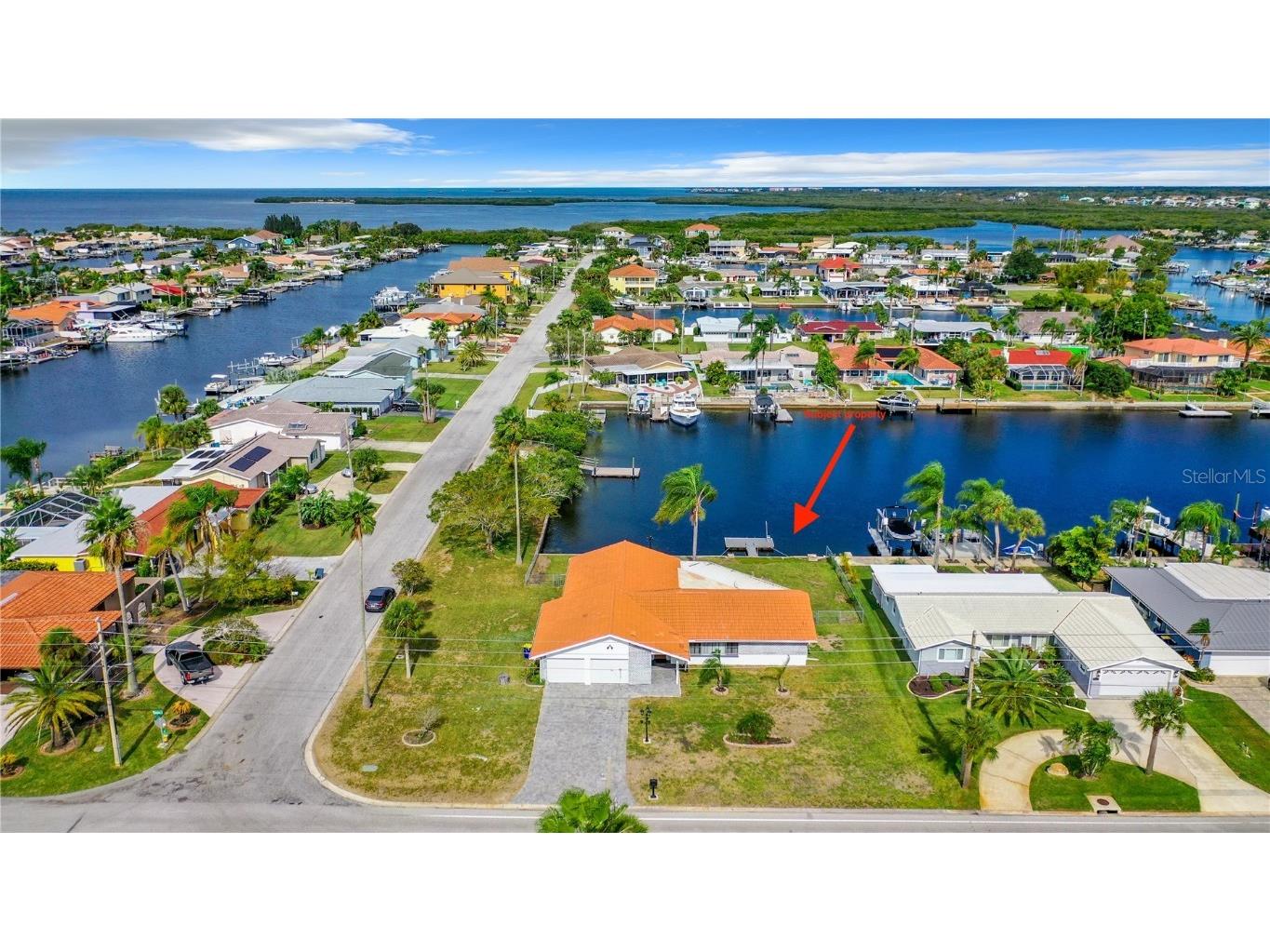 3601 Floramar Terrace New Port Richey FL 34652 W7863052 image1