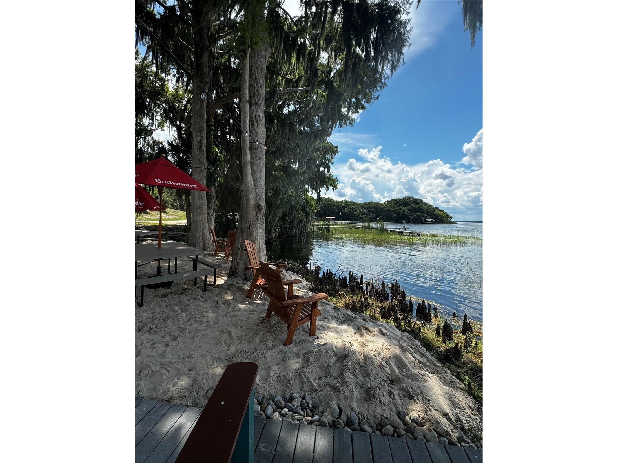 3601 Hidden River Lane Tavares FL 32778 - HARRIS CHAIN OF LAKES S5149641 image53