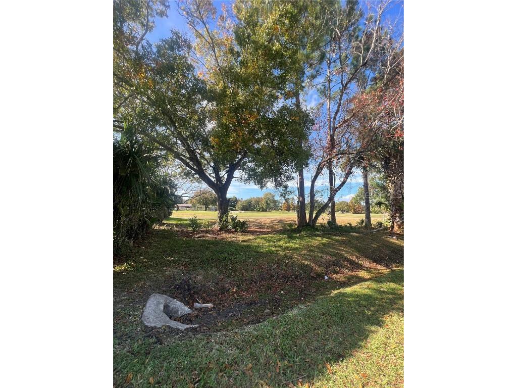 3601 Midiron Drive Winter Park FL 32789 O6368849 image2